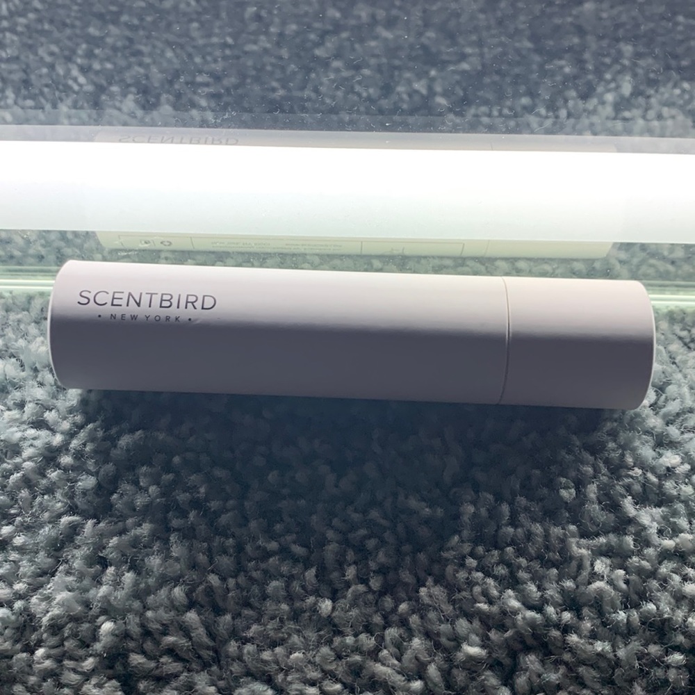 Scentbird Donna Karan Cashmere Mist EDT